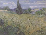 Green Wheat Field with Cypress (nn04) Vincent Van Gogh